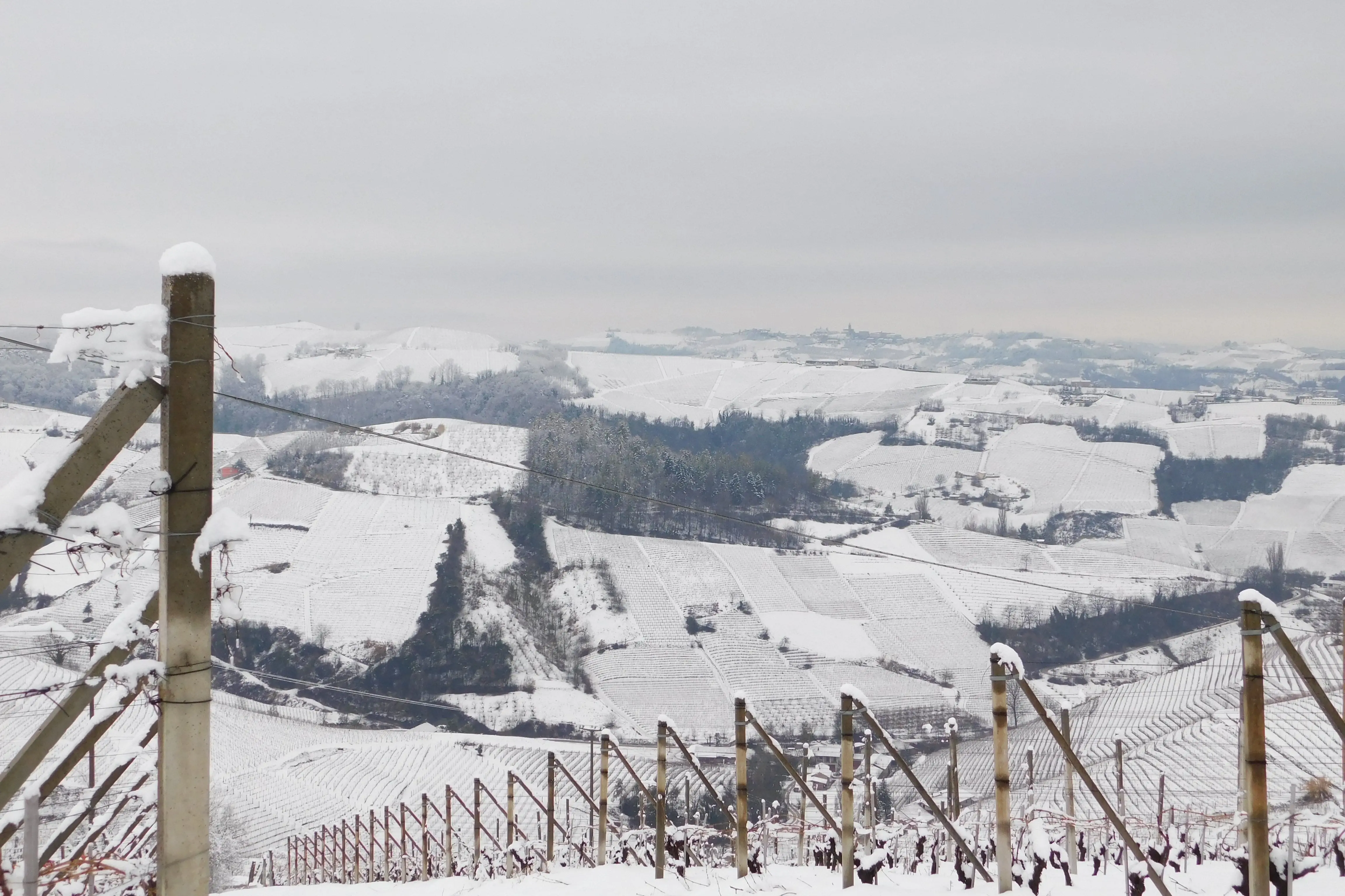 Domus Langhe-8